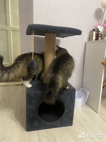 Домик кошачий когтеточка 40х40