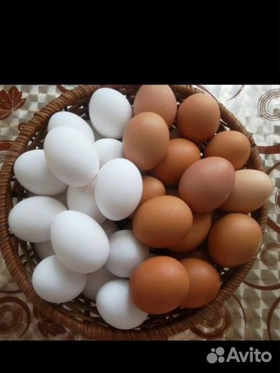 Домашнее куриные яйца