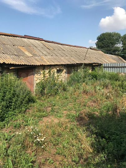 Дом 54 м² на участке 58 сот.