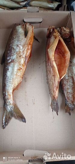 Хурма сладкая