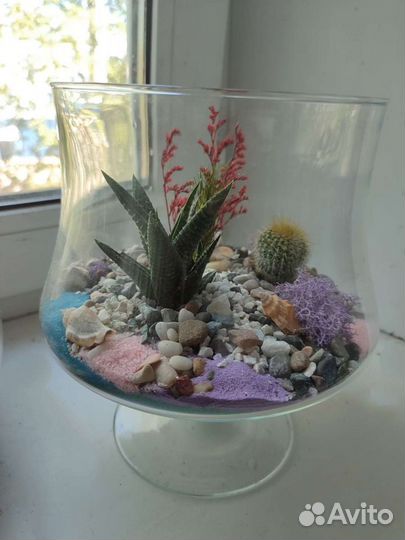 Готовые Флорариумы