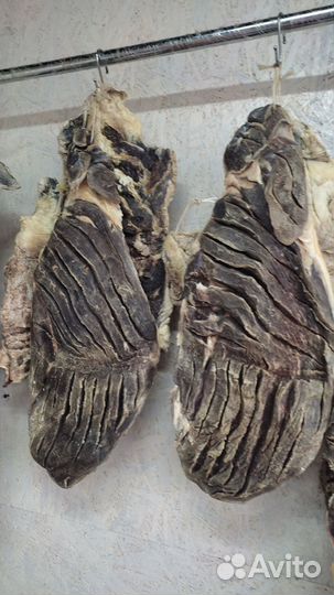 Сушеная мясо гагатли