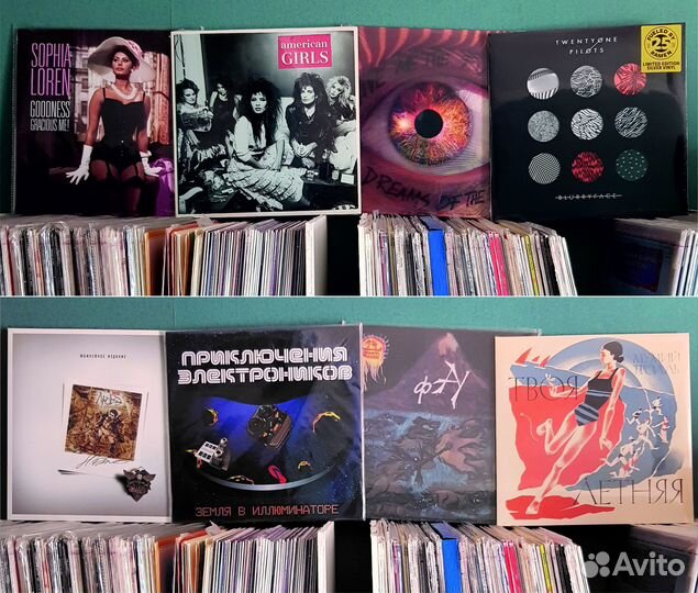 Виниловые пластинки. Новые, запечатанные
