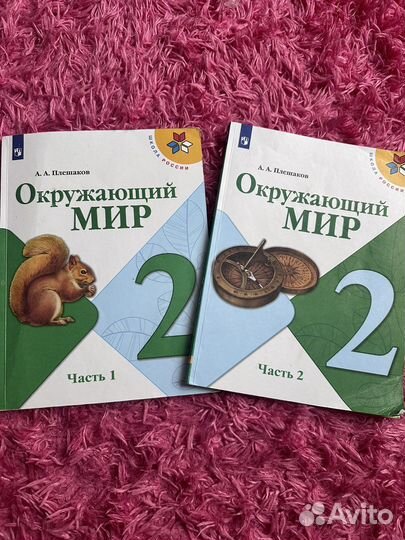 Окружающий мир 2 класс плешаков