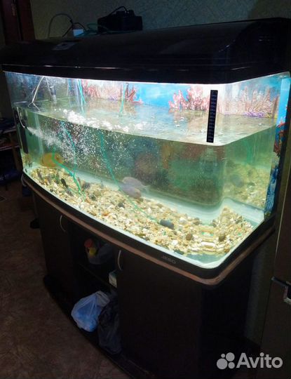 Аквариум Jebo 3126 300 литров