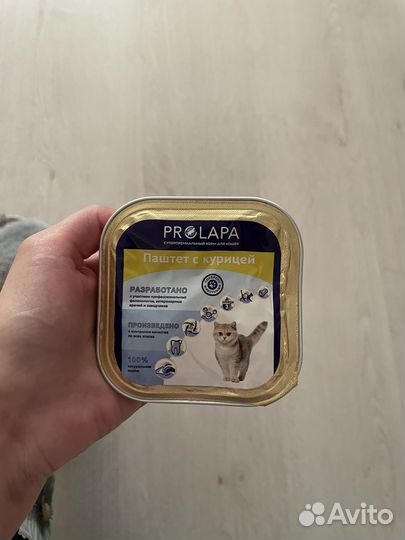 Паштет для кошек pro plan