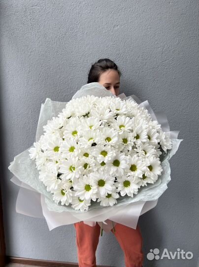 Хризантема