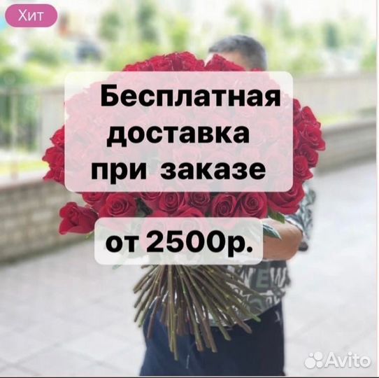 Альстромерия Рома Ромашка Хризантема