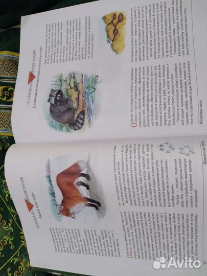 Большой Атлас Природы России