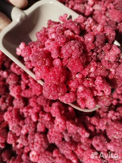 Малина замороженная (Киргизия)