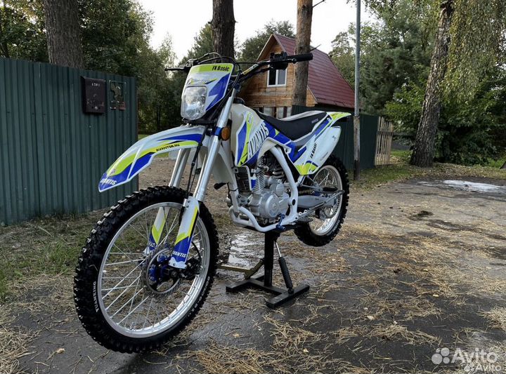 Avantis fx 250 basic