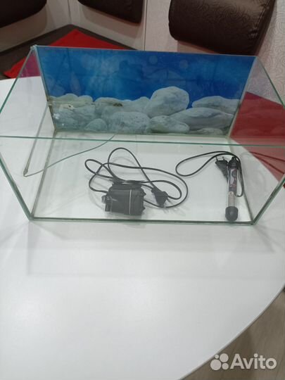 Аквариум для красноухой черепахи