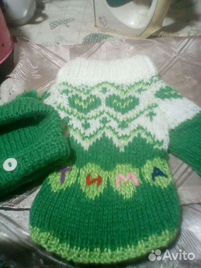 Комбинезон, шапка и шарф на животных мелких пород