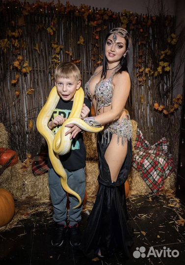 Змея для фотосессии или фото зоны, танец с Питоном