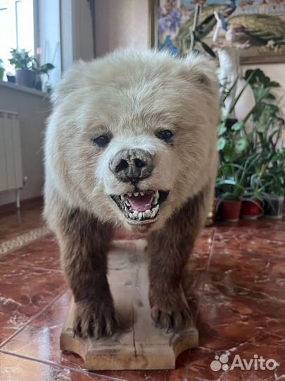 Чучело медведя имитация