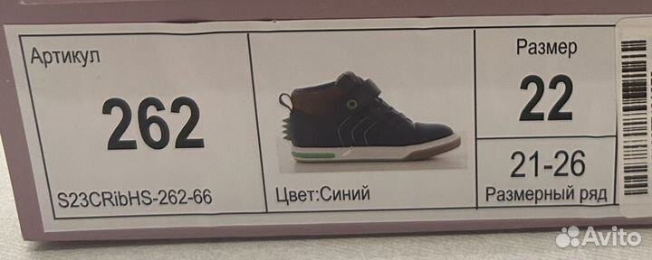 Ботинки демисезонные для мальчика