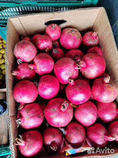 Хурма королек и гранат