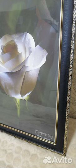 Картина роза