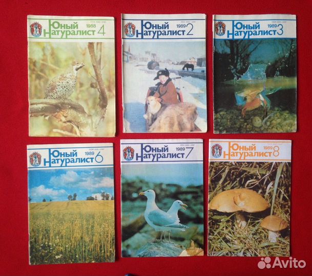 Журнал юный Натуралист