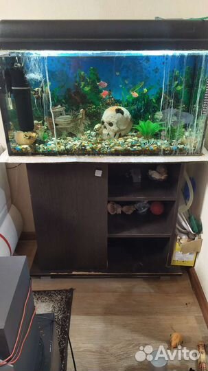 Аквариум
