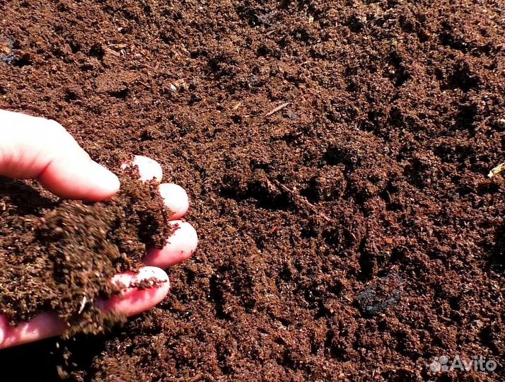 Перегной навоз