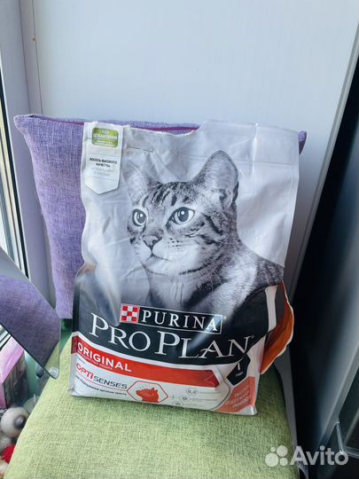 Корм для кошек