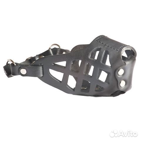 Снаряжение для дрессировки собак