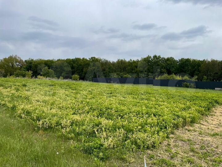 Участок 10,2 сот. (ИЖС)