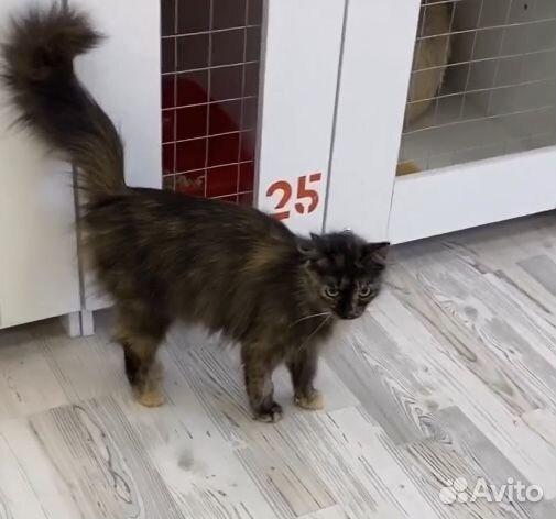 Никто не замечает