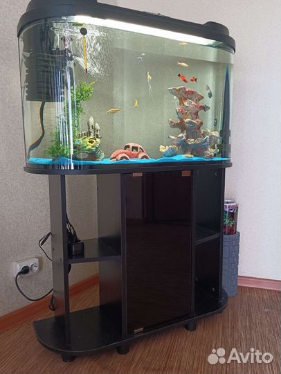 Аквариум