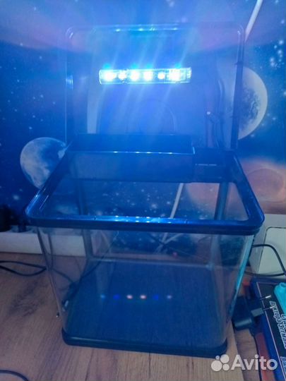 Аквариум