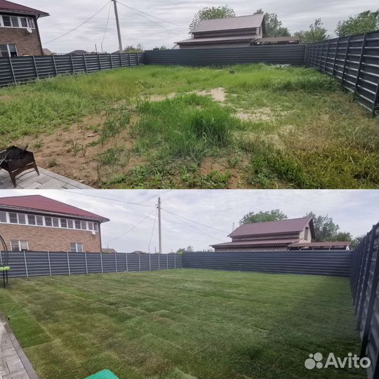 Рулонный газон с укладкой