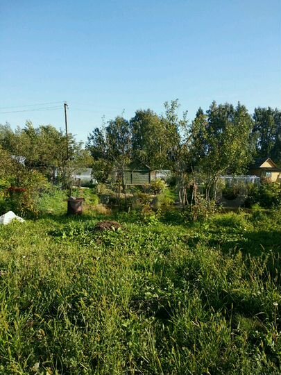 Участок 4,7 сот. (СНТ, ДНП)