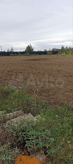 Участок 24 сот. (ИЖС)