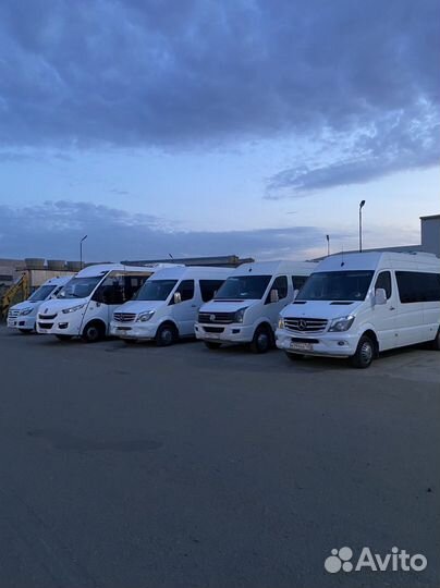 Водитель категории d, водитель автобуса Д