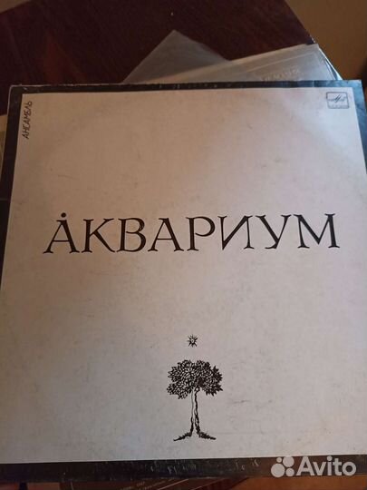 Виниловые пластинки оптом