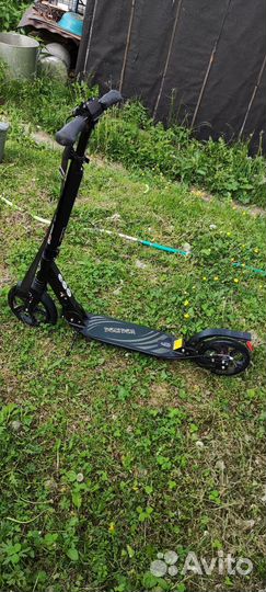 Самокат Larsen step Disk