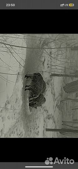 Охотничий тур