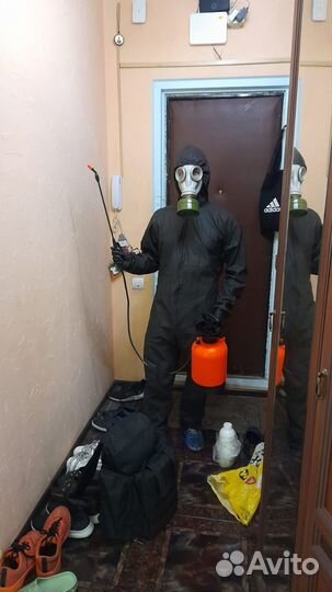 Уничтожение насекомых, запахов и грызунов