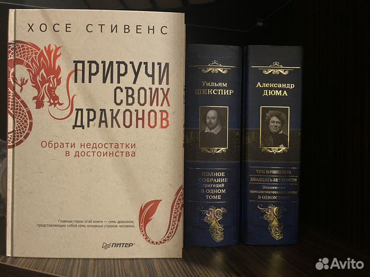 Книги новые зарубежная русская классика
