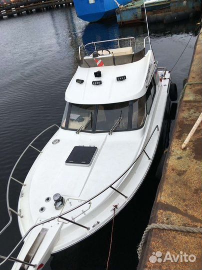 Териберка +Киты