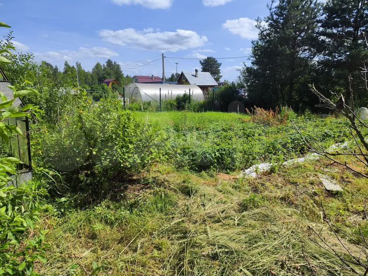 Участок 6 сот. (СНТ, ДНП)