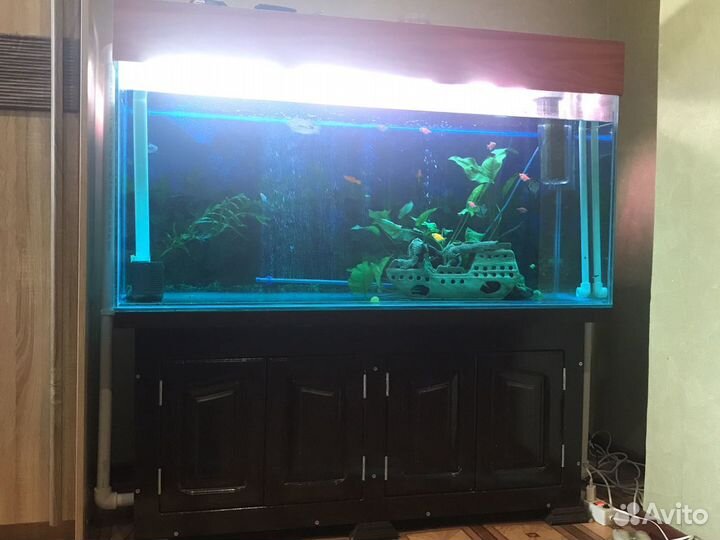 Аквариум