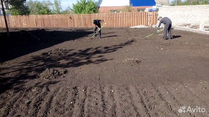 Чернозем для планировки участка. Благоустройство