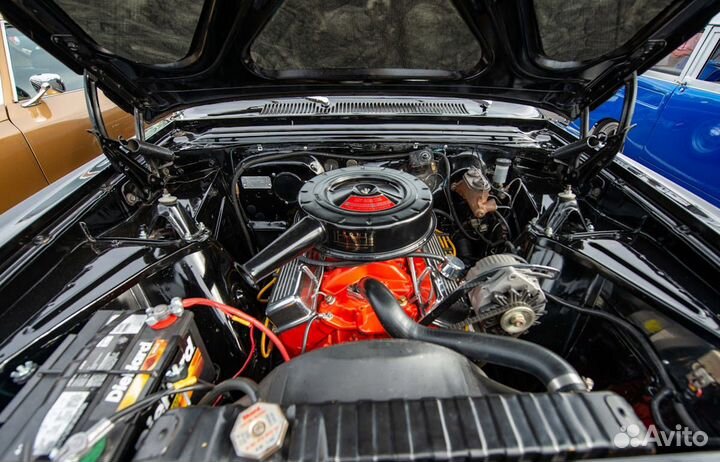 Автоэлектрик с выездом с 11 до 48970