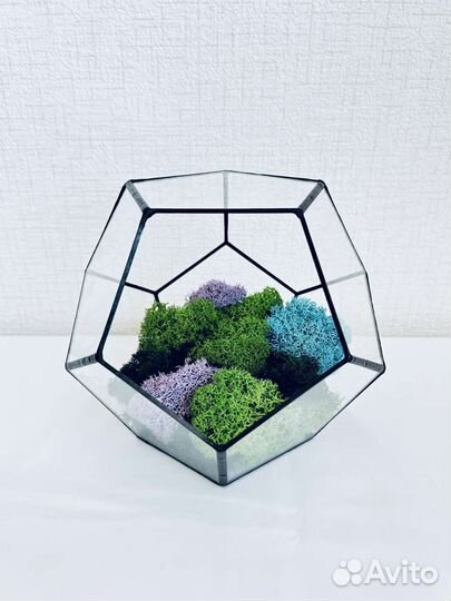 Додекаэдр. Форма для флорариума
