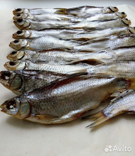 Рыбка из Астрахани, вобла, чехонь, тарань, сопа