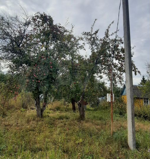 Дача 30 м² на участке 13 сот.