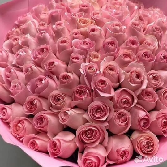 101 роза Эквадор букет цветы