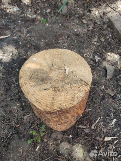 Пенëк для рубки